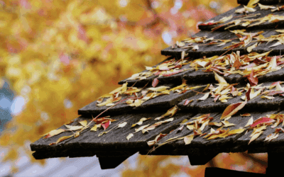 Why Fall is the Best Time for Roof Inspections