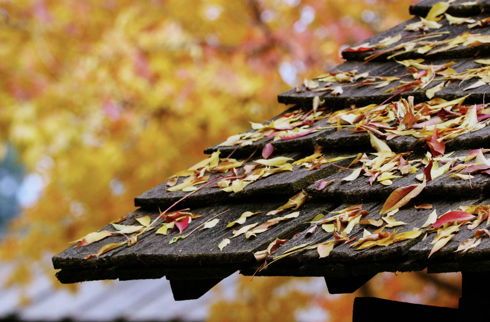 Why Fall is the Best Time for Roof Inspections
