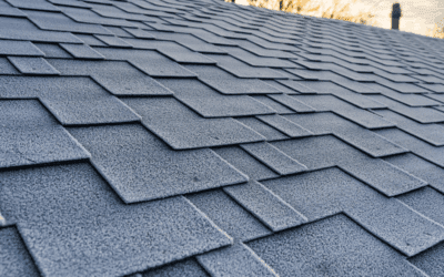 The Cost of Neglecting Your Roof: Why Proactive Care Matters