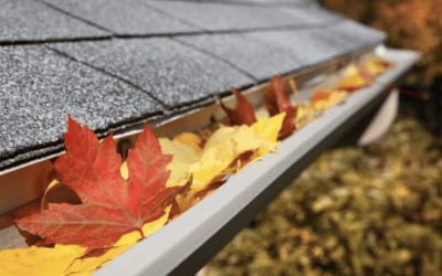 How Falling Leaves Can Lead to Roof and Gutter Problems