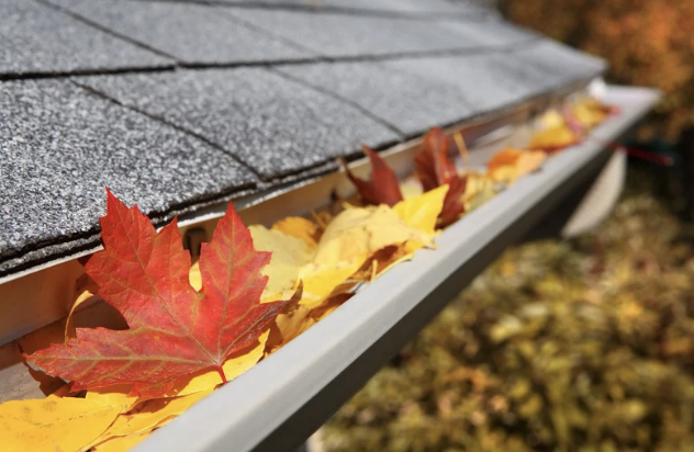 How Falling Leaves Can Lead to Roof and Gutter Problems